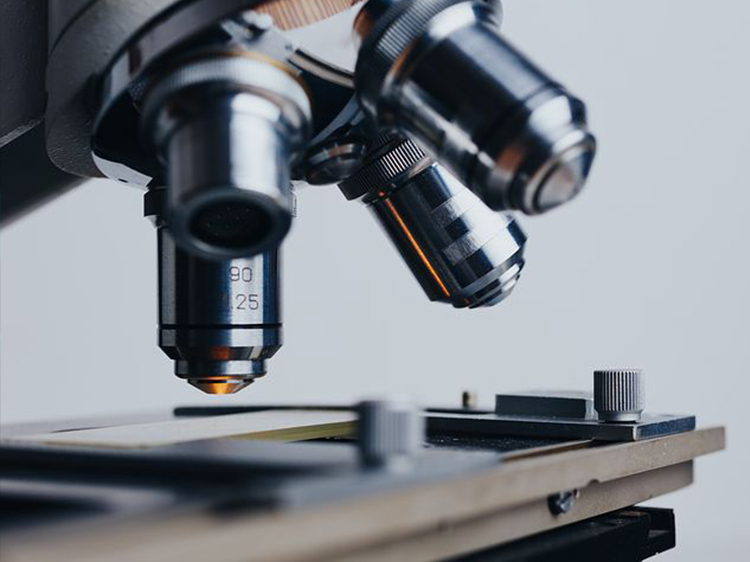 legalización de proyectos cerocinco